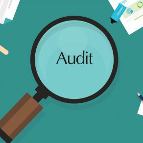 Business Travel Audit